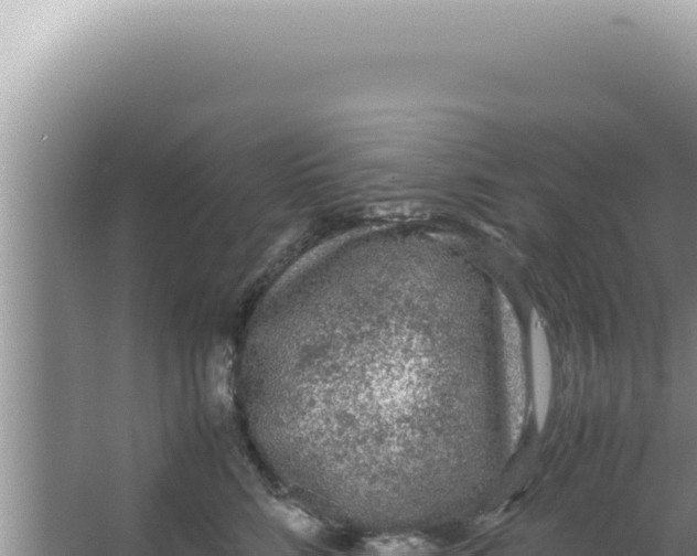 X0000066940712200604142024