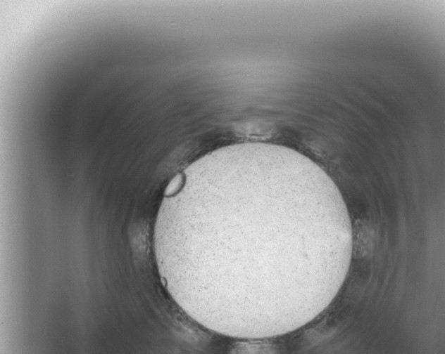 X0000066940713200604142023