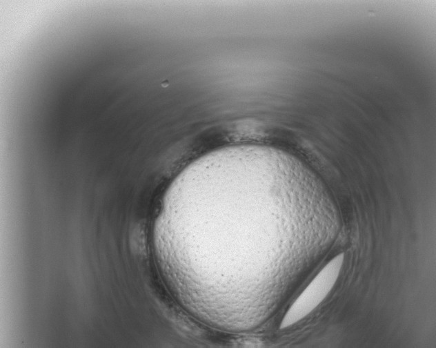 X0000066940715200604142023