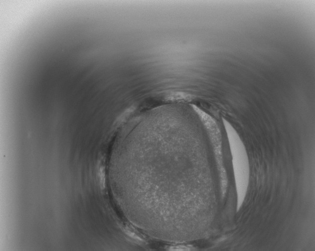 X0000066940716200604142023