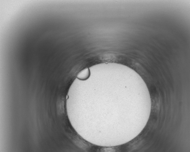 X0000066940717200604142023