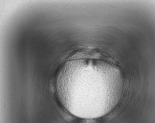 X0000066940719200604142023