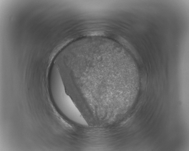 X0000066940721200604142023