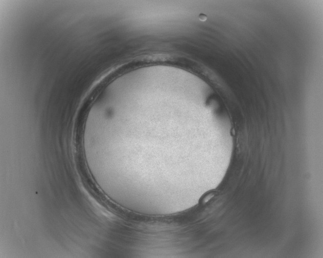 X0000066940722200604142023