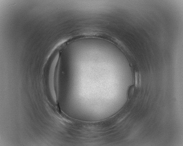 X0000066940723200604142023