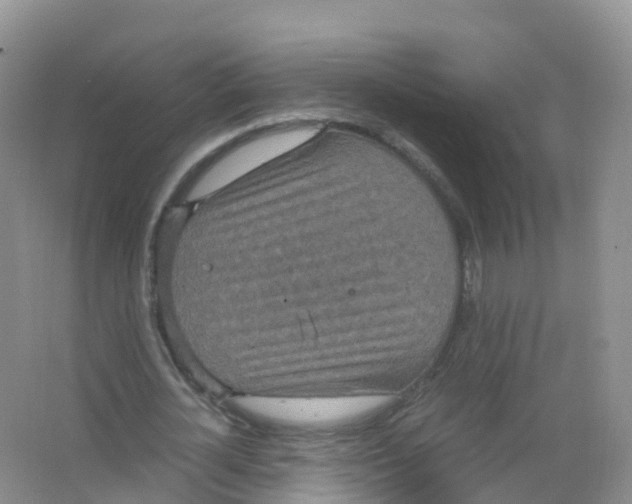 X0000066940724200604142023