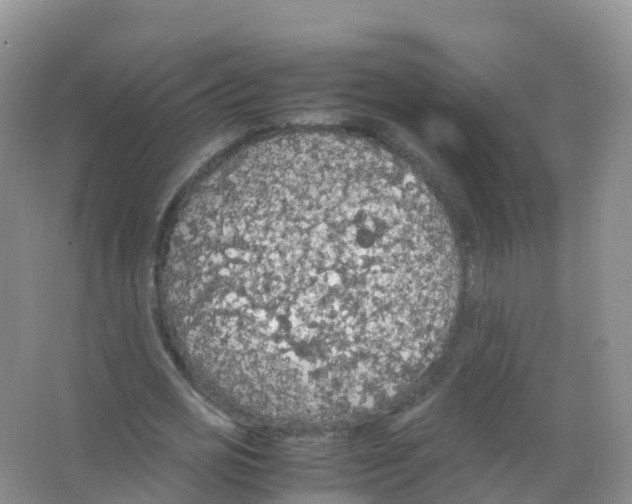 X0000066940725200604142023