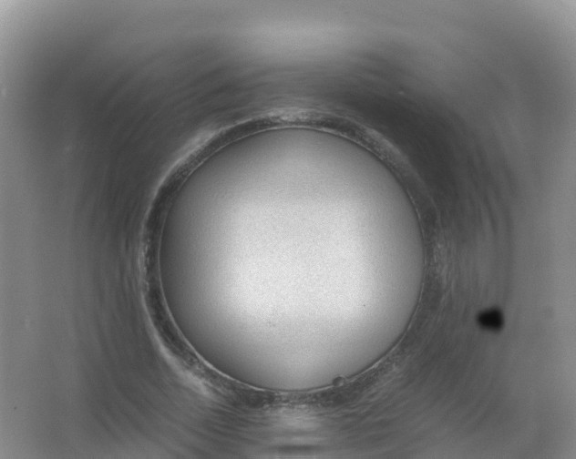 X0000066940730200604142023