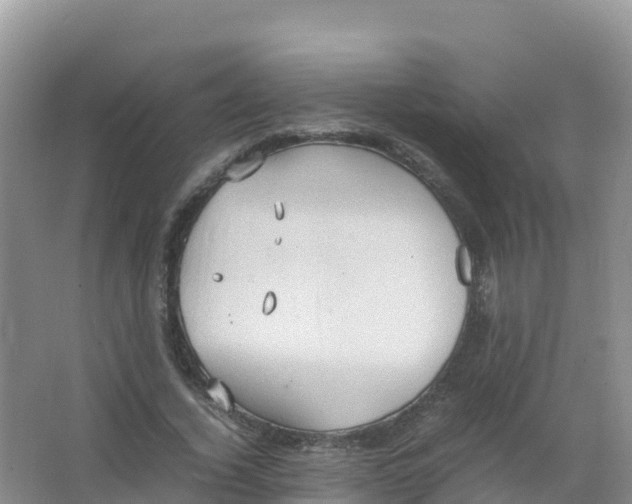 X0000066940732200604142023