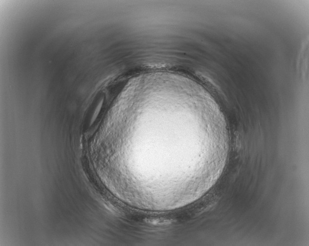 X0000066940733200604142023