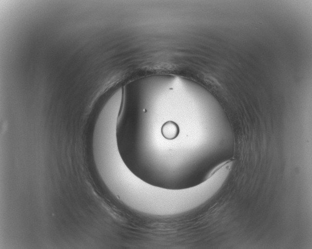 X0000066940735200604142023