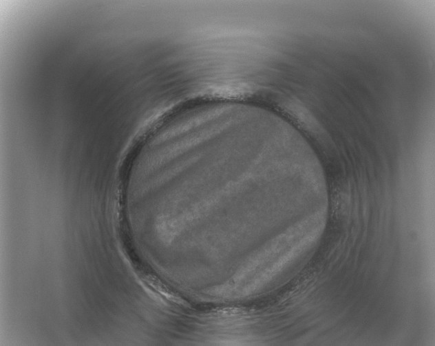 X0000066940736200604142023