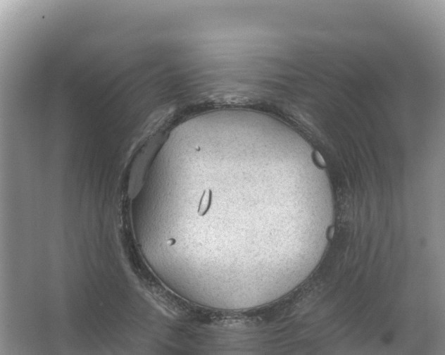 X0000066940738200604142023