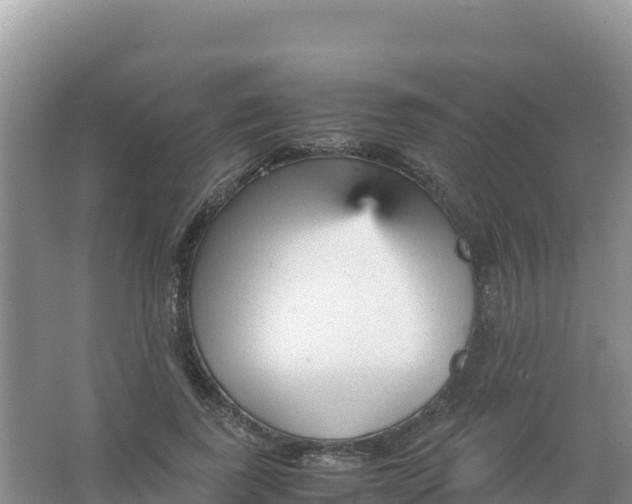 X0000066940739200604142023