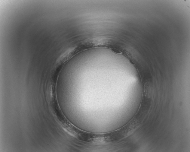 X0000066940740200604142023