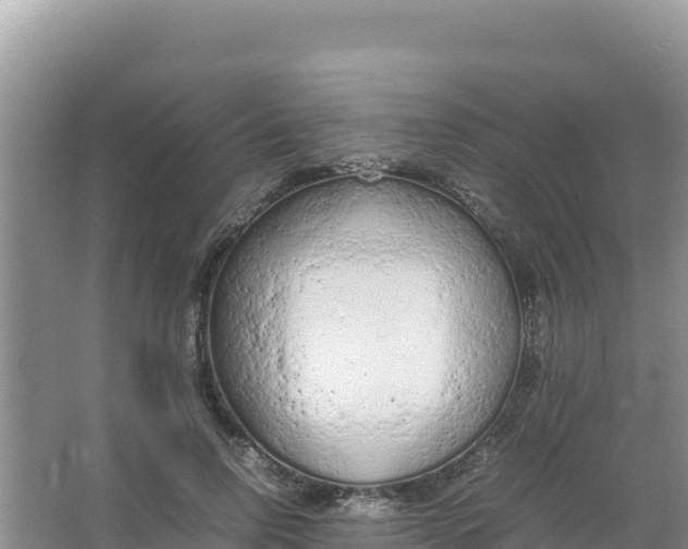 X0000066940742200604142023