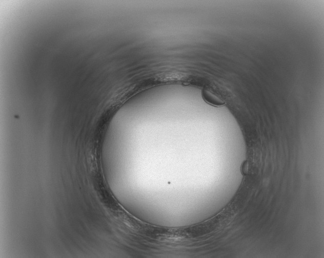 X0000066940743200604142023