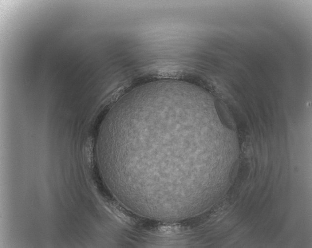 X0000066940744200604142023