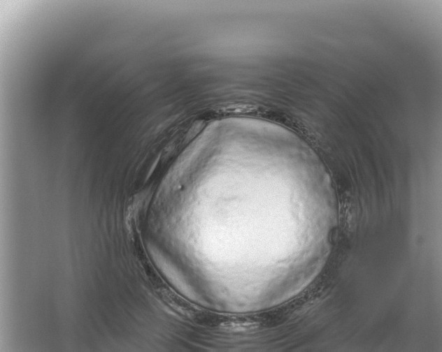 X0000066940745200604142023