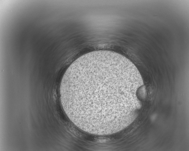 X0000066940746200604142023