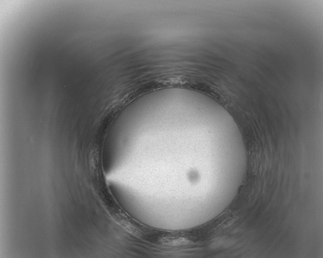 X0000066940747200604142023