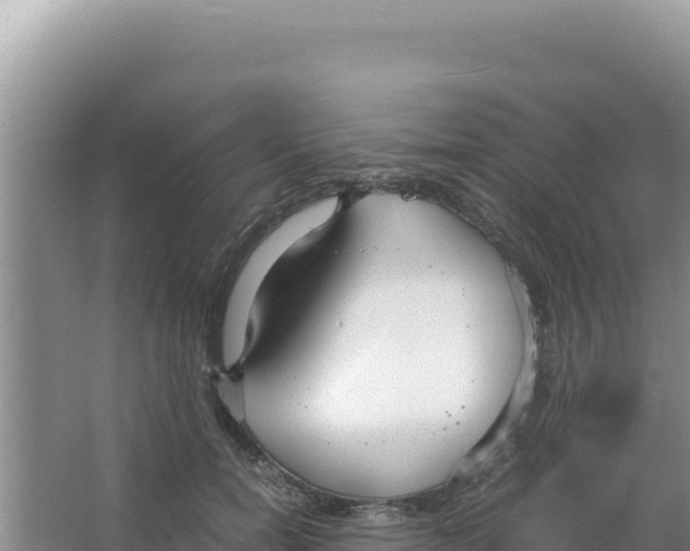 X0000066940750200604142023