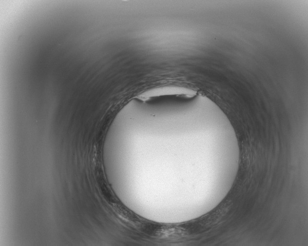 X0000066940752200604142023