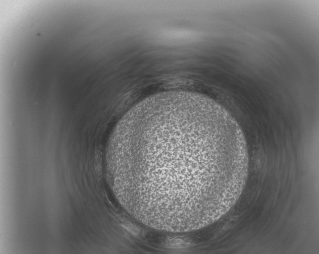 X0000066940753200604142023