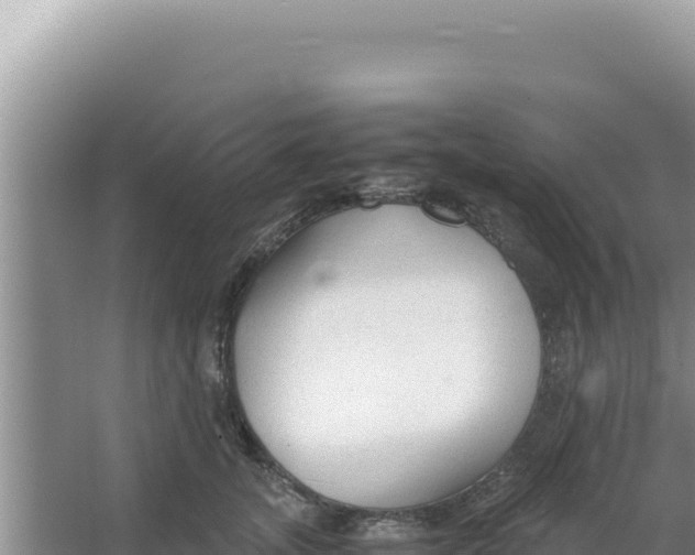 X0000066940755200604142023