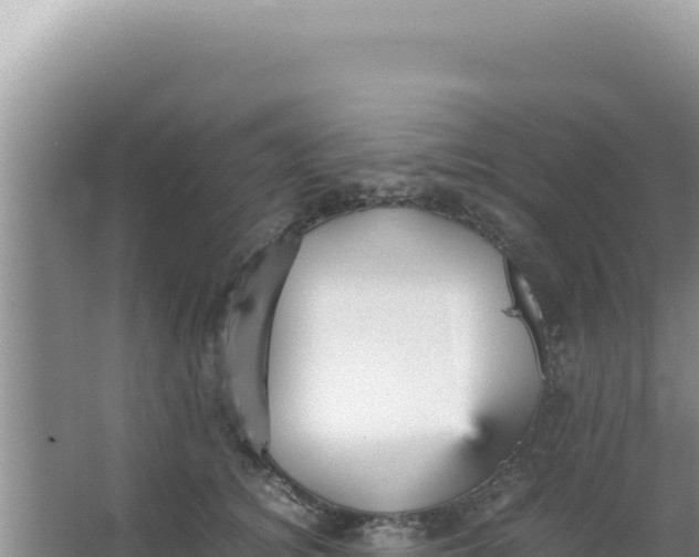 X0000066940756200604142023