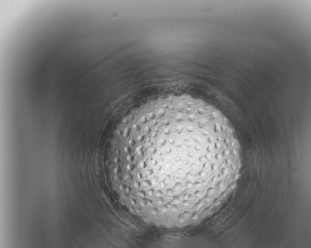 X0000066940757200604142023