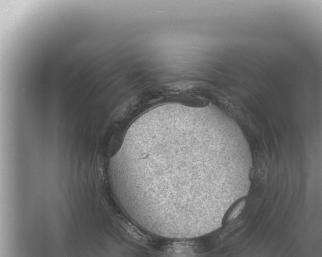 X0000066940758200604142023