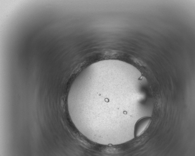 X0000066940759200604142023