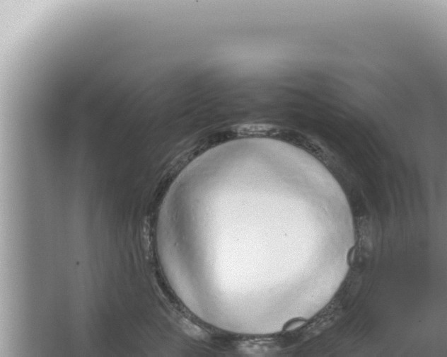 X0000066940761200604142023