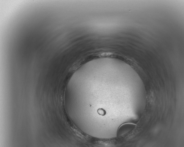 X0000066940763200604142023