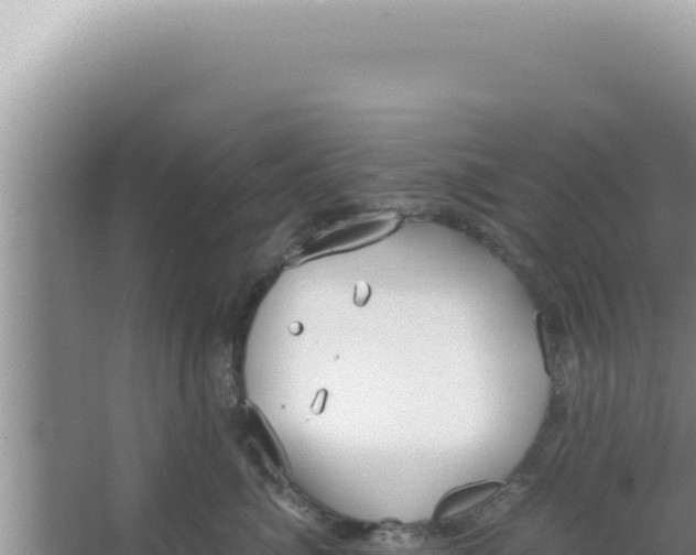 X0000066940764200604142023