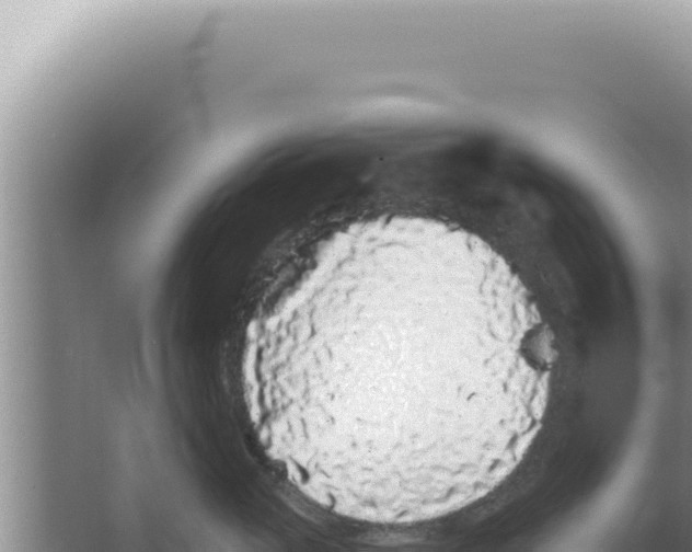 X0000066940765200604142023