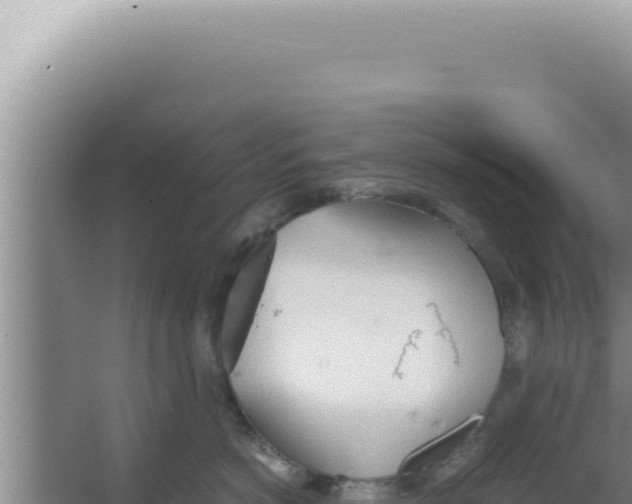 X0000066940766200604142023