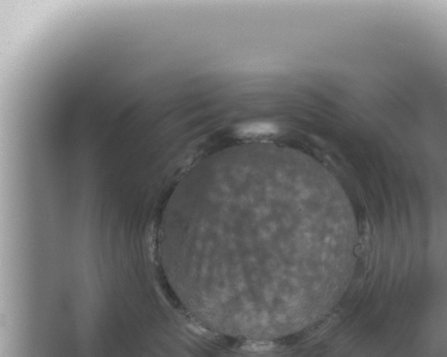 X0000066940767200604142023