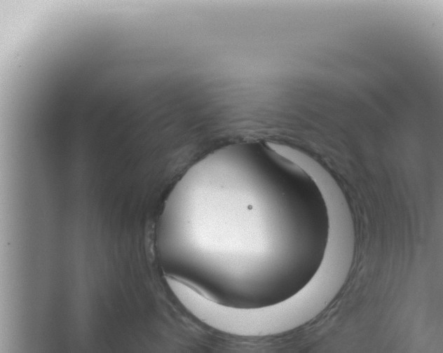 X0000066940768200604142023