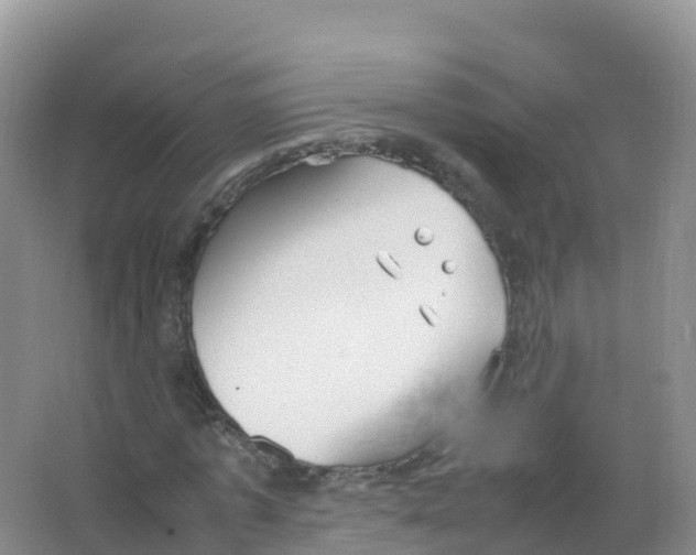 X0000066940773200604142022