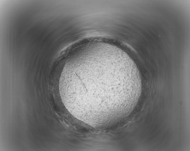 X0000066940775200604142022