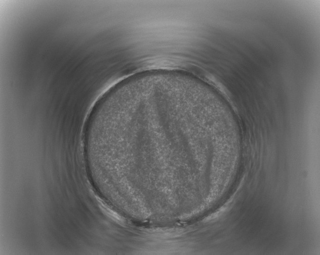 X0000066940779200604142022