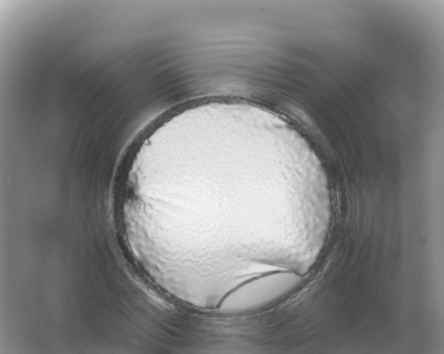 X0000066940780200604142022