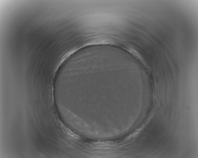 X0000066940781200604142022