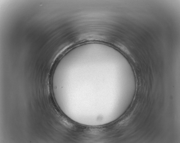 X0000066940782200604142022