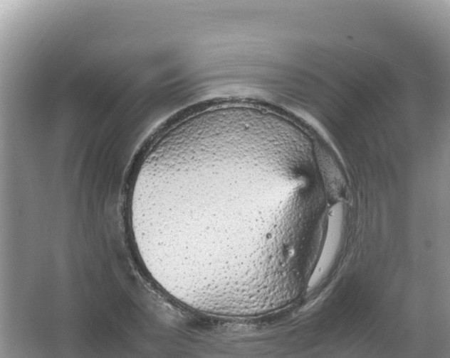 X0000066940783200604142022