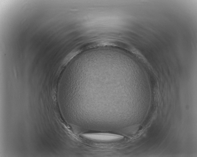 X0000066940785200604142022