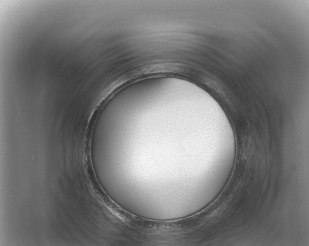 X0000066940786200604142022