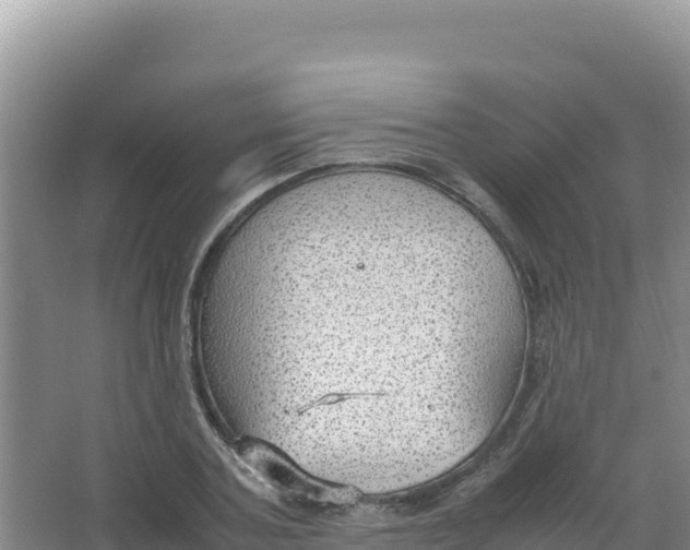 X0000066940787200604142022